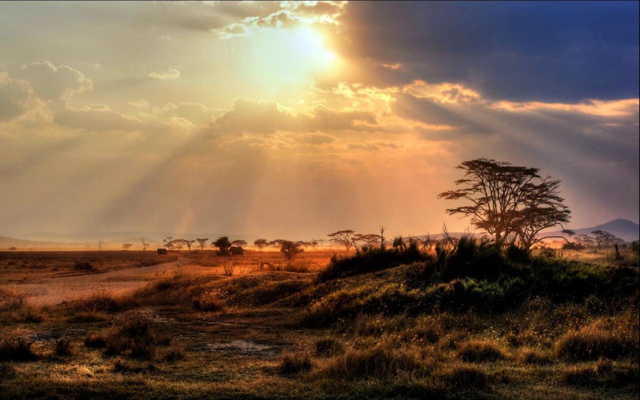 فيلا Africa Safari Maasai Boma سيرينغيتي المظهر الخارجي الصورة