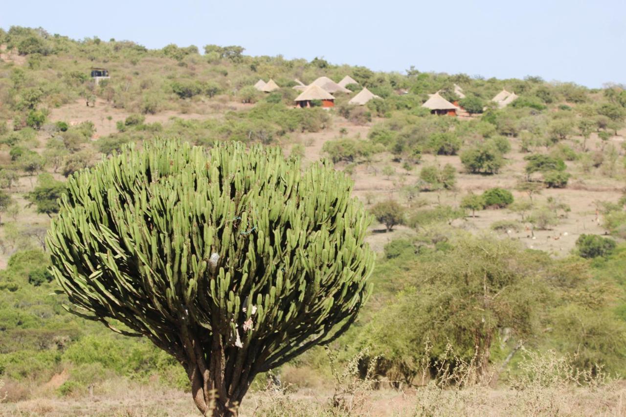 فيلا Africa Safari Maasai Boma سيرينغيتي المظهر الخارجي الصورة